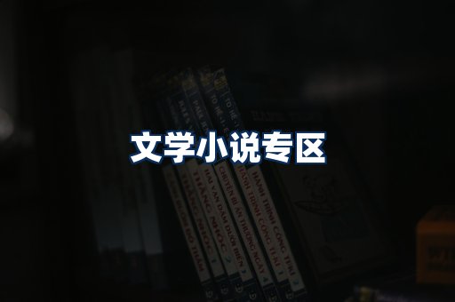 文学小说PDF展示